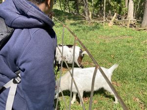 GKF Field Trip 2